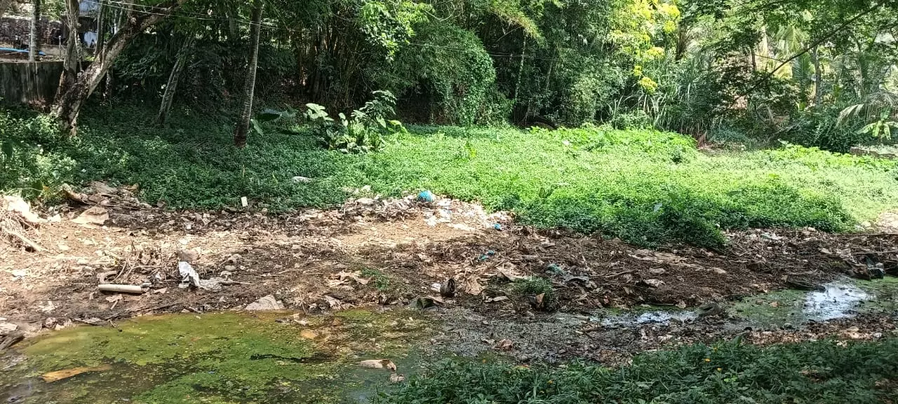 குளத்தை தூர்வார வேண்டும்