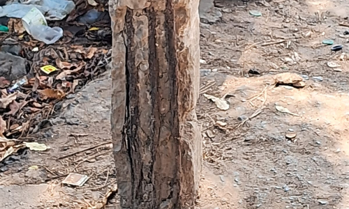 ஆபத்தான மின்கம்பம்