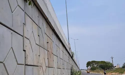 மேம்பால சுவரில் வளர்ந்த செடிகள் மேம்பால சுவரில் வளர்ந்த செடிகள்