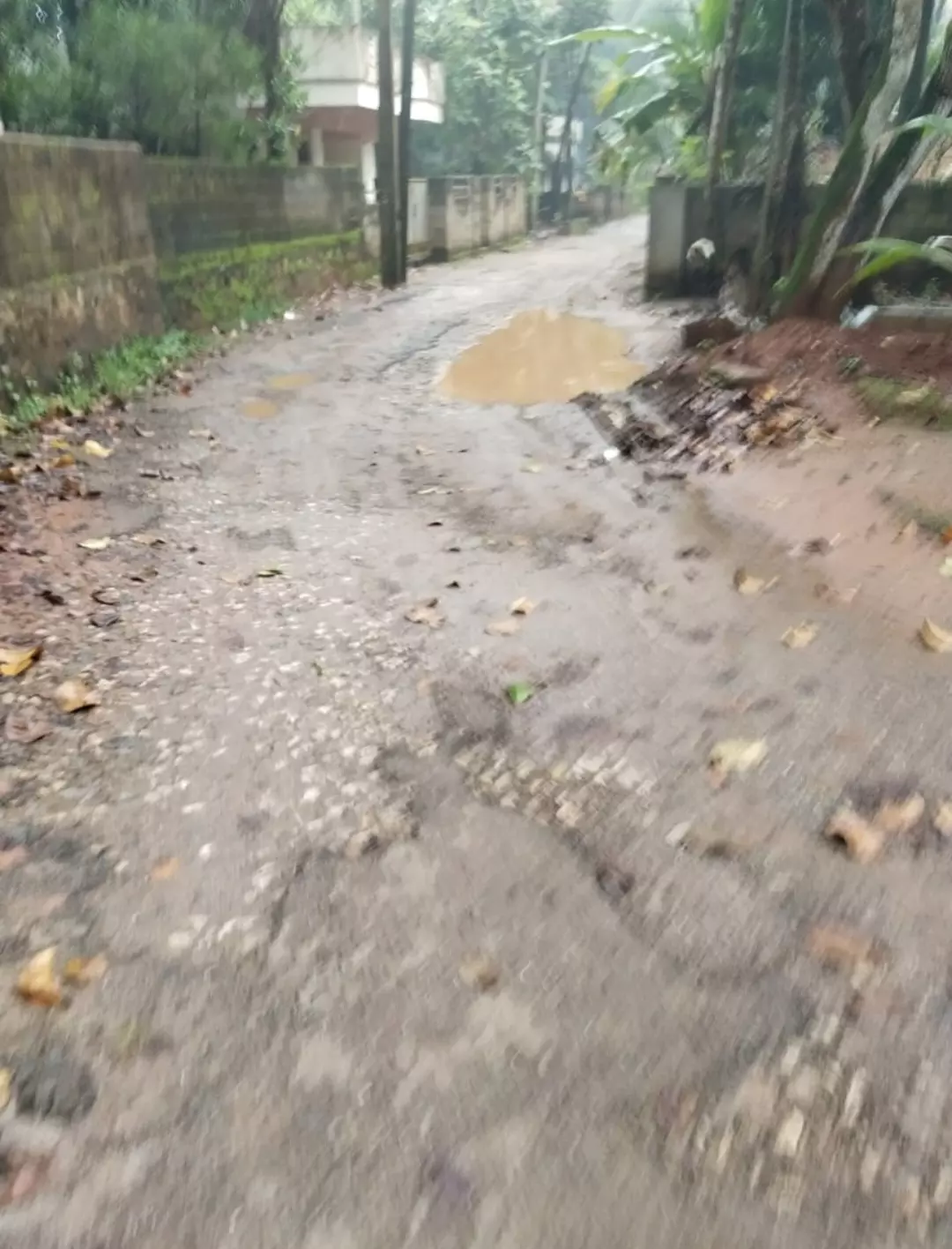 சீரமைக்கப்படுமா? சீரமைக்கப்படுமா?