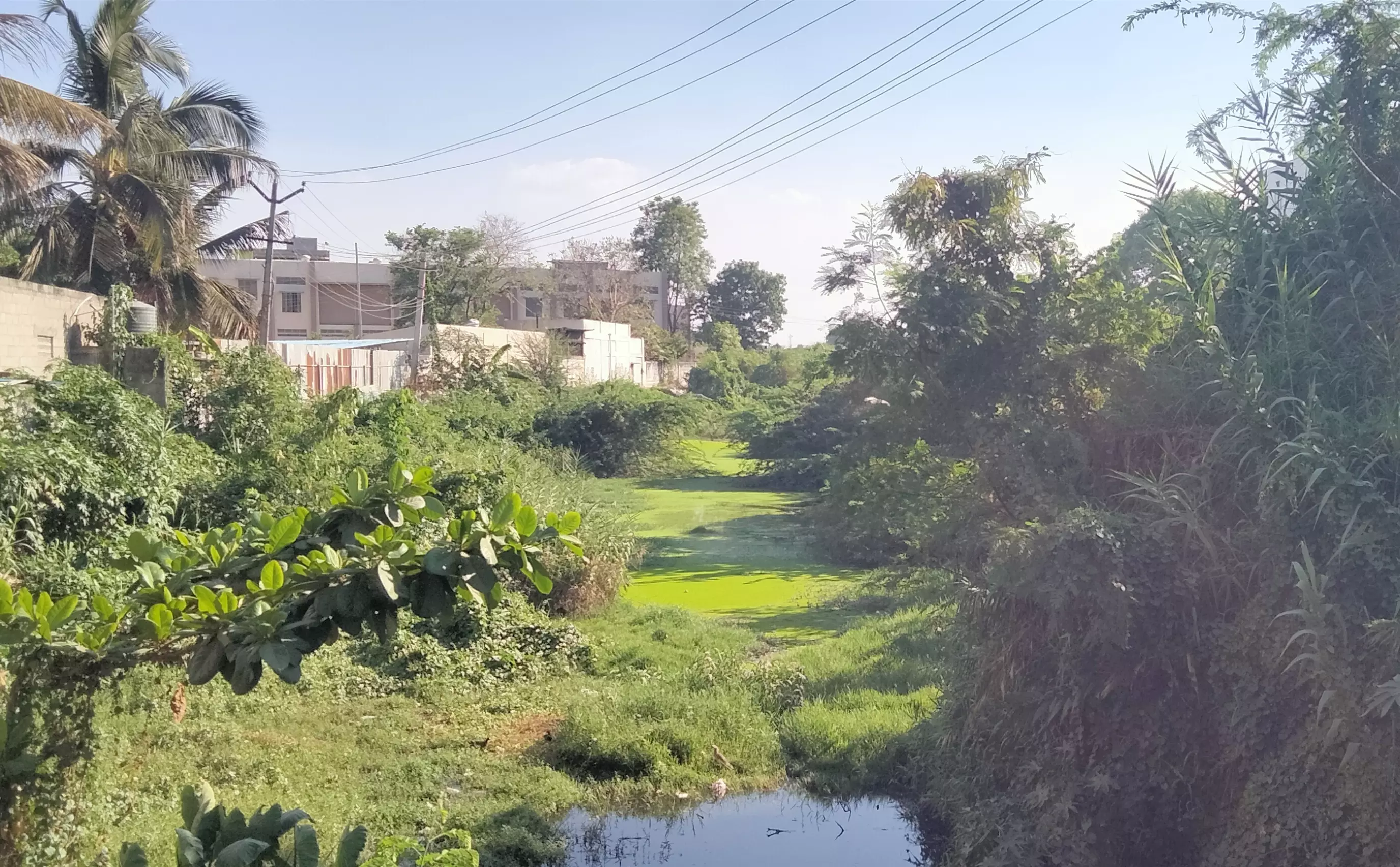 கால்வாயை ஆக்கிரமித்த முட்புதர்கள் கால்வாயை ஆக்கிரமித்த முட்புதர்கள்