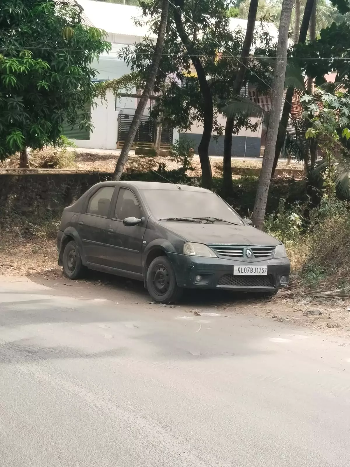 நடவடிக்கை தேவை