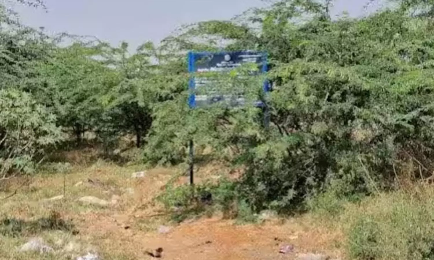 கோவில் நிலம் பராமரிக்கப்படுமா?