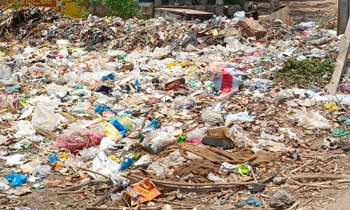 குப்பைகள் அகற்றப்படுமா?