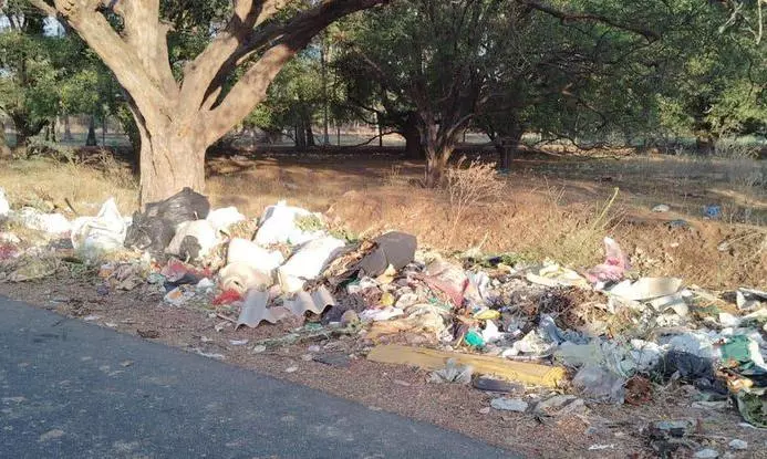 சாலையோரம் வீசப்படும் குப்பைகள்