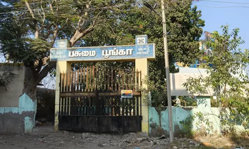 புதர் வளர்ந்த பசுமை பூங்கா புதர் வளர்ந்த பசுமை பூங்கா