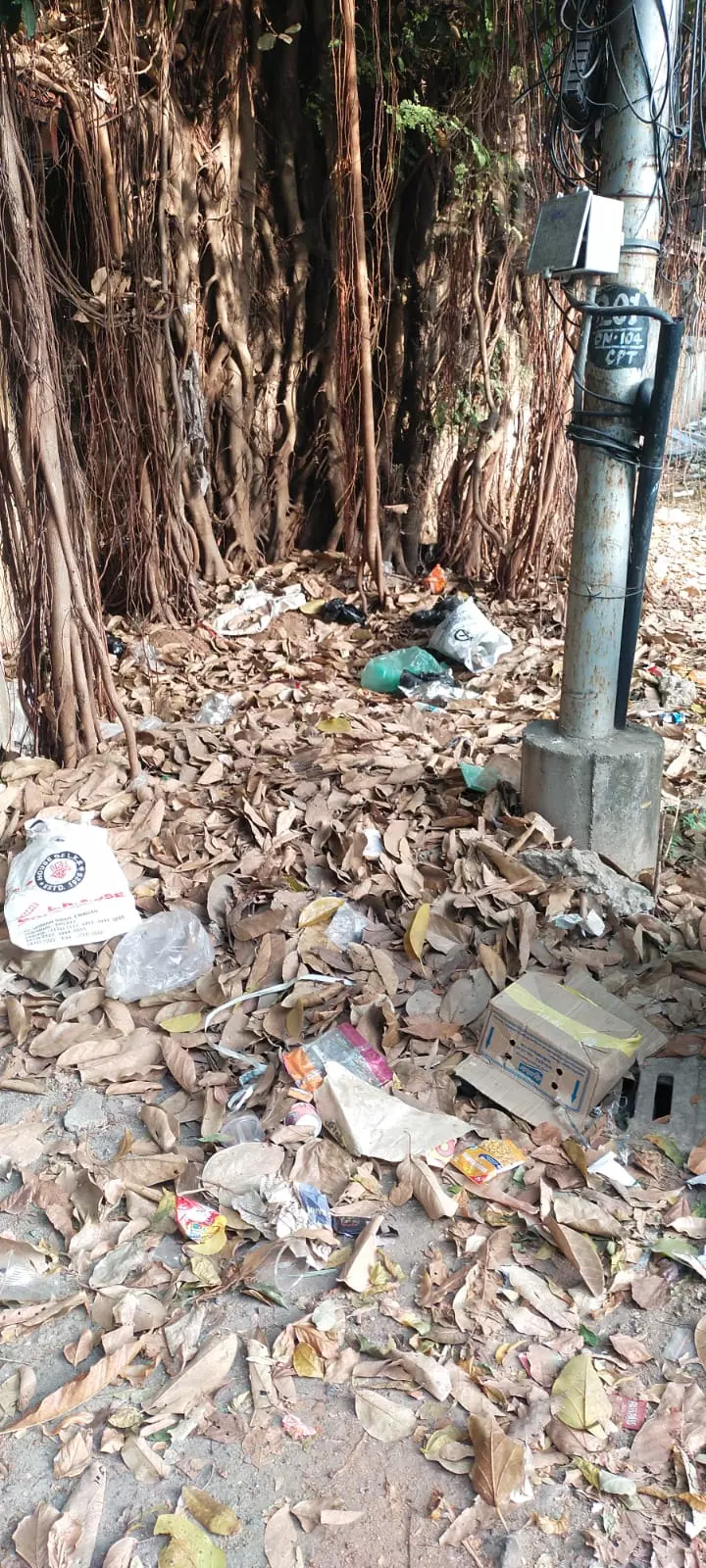 தேங்கி கிடக்கும் குப்பை தேங்கி கிடக்கும் குப்பை