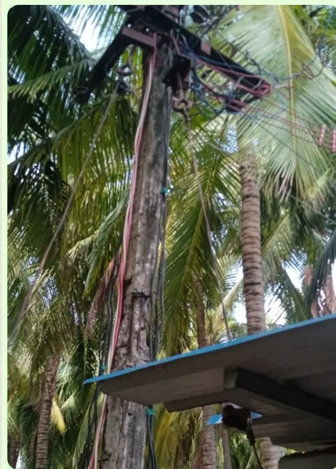 சேதமடைந்த மின்கம்பம்