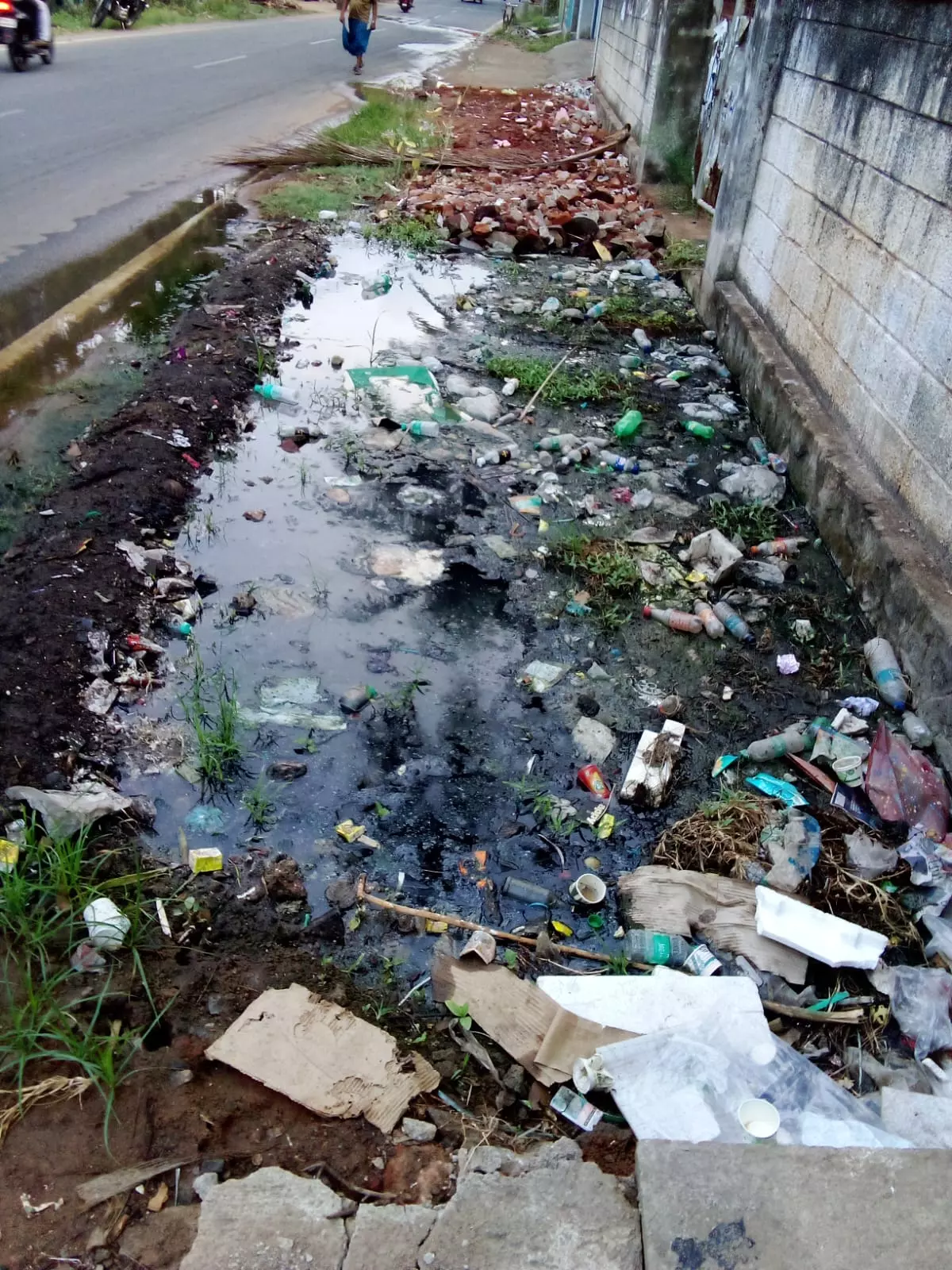 நடவடிக்கை தேவை