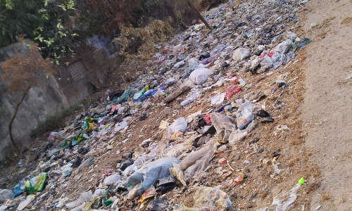 இறைச்சி கழிவுகள் இறைச்சி கழிவுகள்