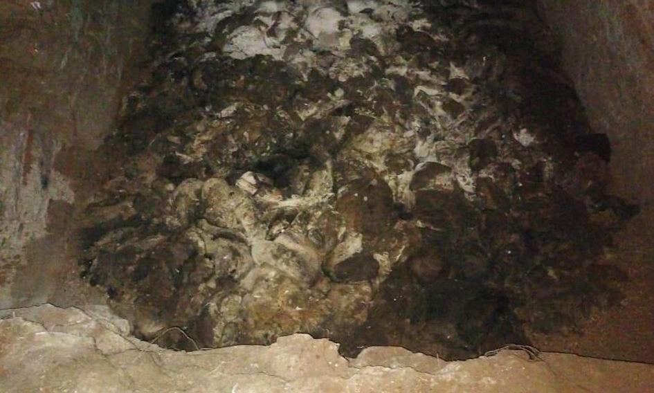 நோய் பரவும் அபாயம்