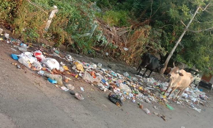 குவிந்து கிடக்கும் குப்பை