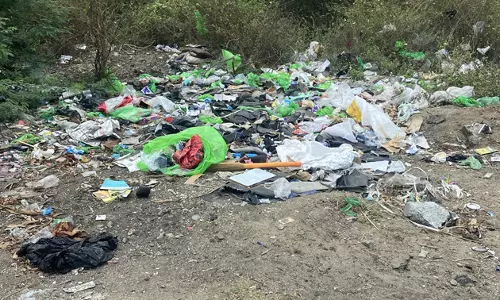 குப்பைகள் அகற்றப்படுமா? குப்பைகள் அகற்றப்படுமா?