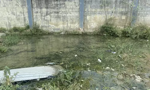 தேங்கும் நீரில் கொசு உற்பத்தி தேங்கும் நீரில் கொசு உற்பத்தி