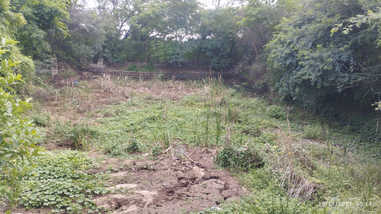 குளம் தூர்வாரப்படுமா?