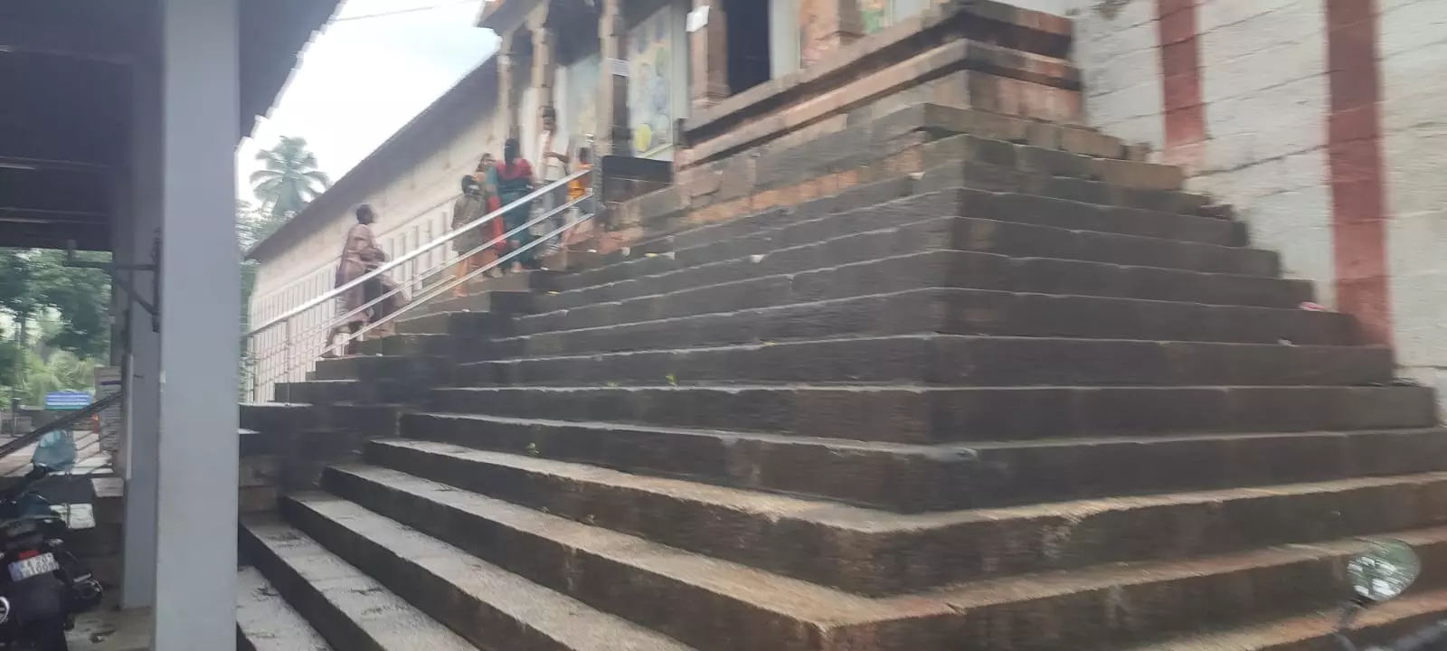 பாசிகள் அகற்றப்படுமா?