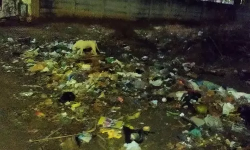 தொற்று நோய் பரவும் அபாயம் தொற்று நோய் பரவும் அபாயம்