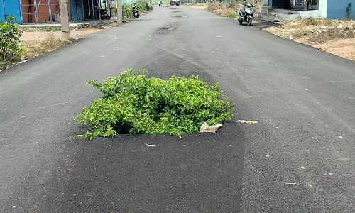 சாலையில் பள்ளம்