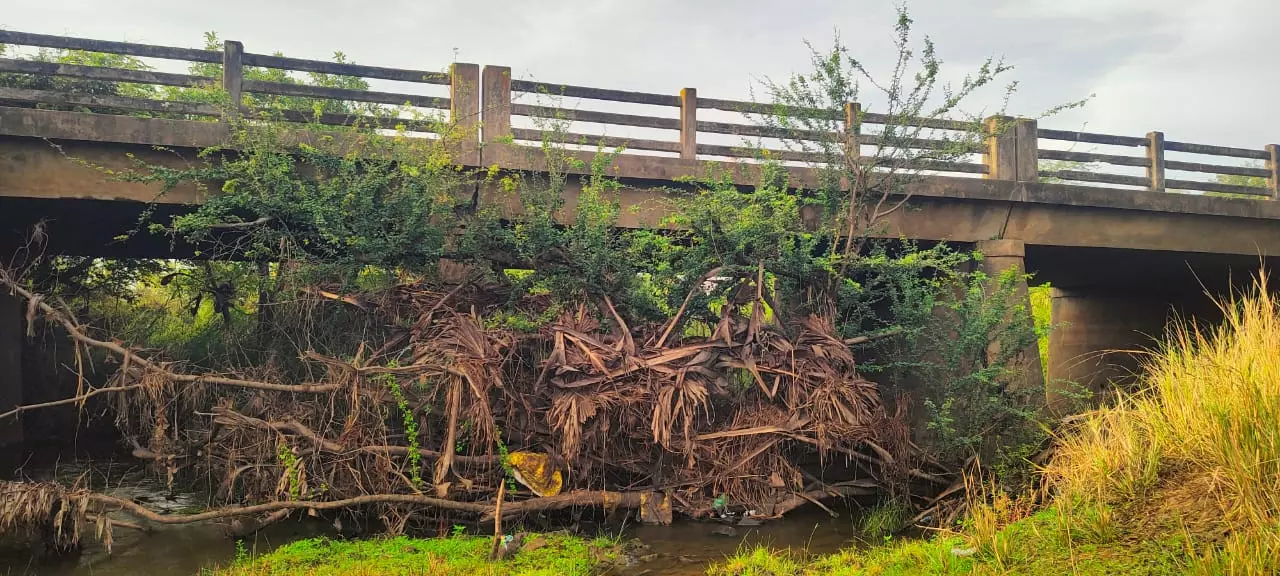 குப்பைகள் அகற்றப்படுமா?