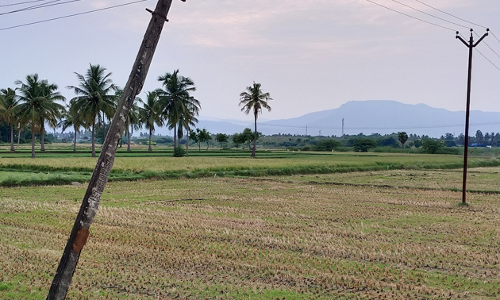 சாய்வாக உள்ள மின்கம்பம்