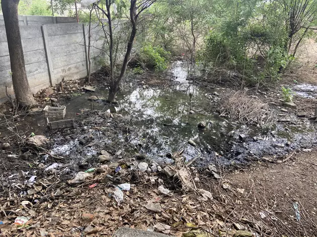 தேங்கியுள்ள கழிவுநீர் தேங்கியுள்ள கழிவுநீர்