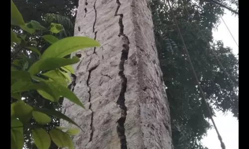 மின்கம்பம் சீரமைக்கப்படுமா? மின்கம்பம் சீரமைக்கப்படுமா?