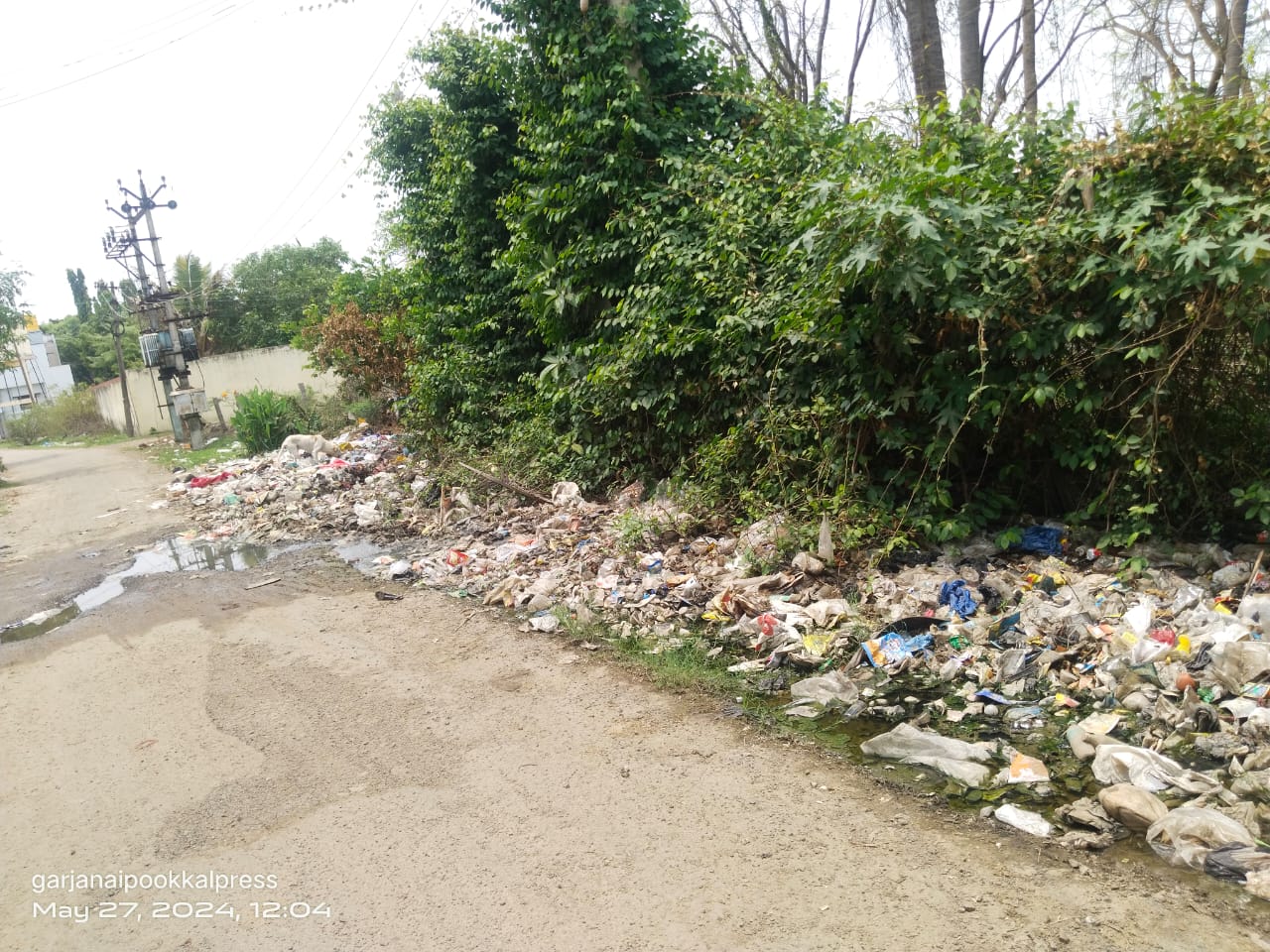 குப்பைகள் அகற்றப்படுமா? குப்பைகள் அகற்றப்படுமா?