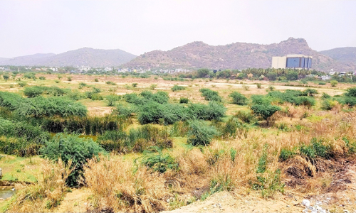 சீமை கருவேல மரங்களை அகற்ற வேண்டும் சீமை கருவேல மரங்களை அகற்ற வேண்டும்