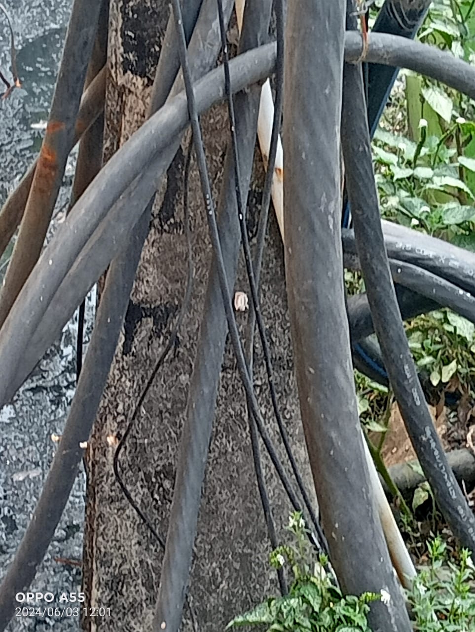 ஆபத்தான மின்கம்பம்