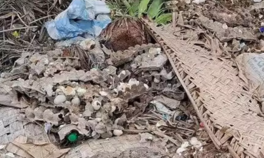 கோழிமுட்டை கழிவுகளால் சுகாதார சீர்கேடு கோழிமுட்டை கழிவுகளால் சுகாதார சீர்கேடு