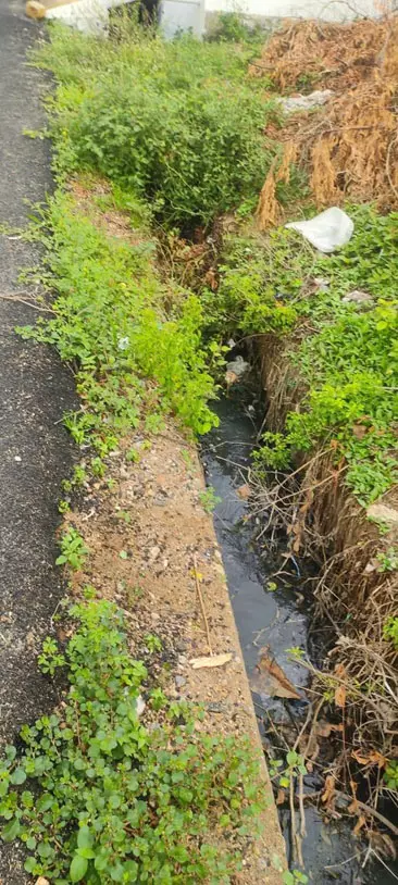 தேங்கி நிற்கும் கழிவுநீர் தேங்கி நிற்கும் கழிவுநீர்