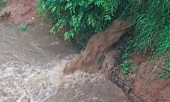 நடவடிக்கை தேவை நடவடிக்கை தேவை