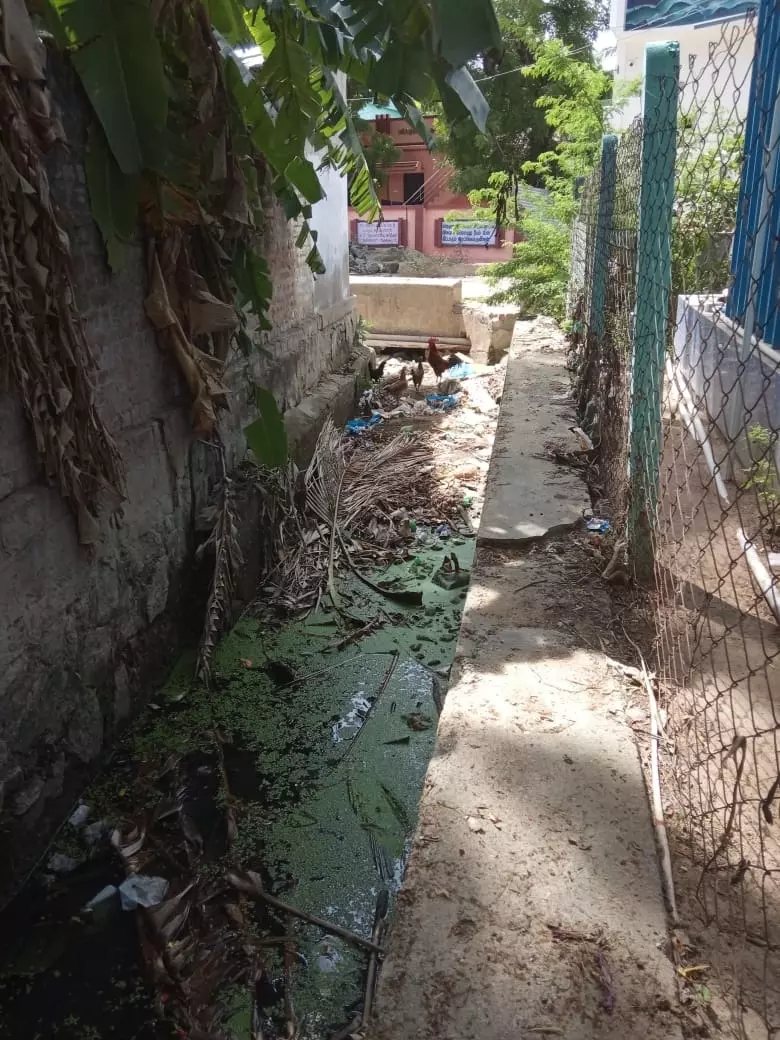 வாய்க்காலை தூர்வார வேண்டும்