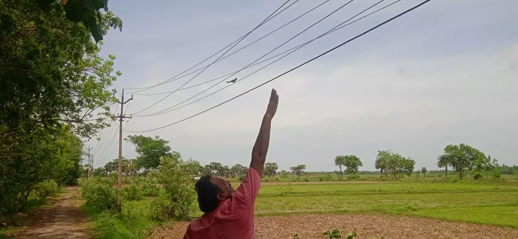 தாழ்வாக செல்லும் மின்கம்பிகள்