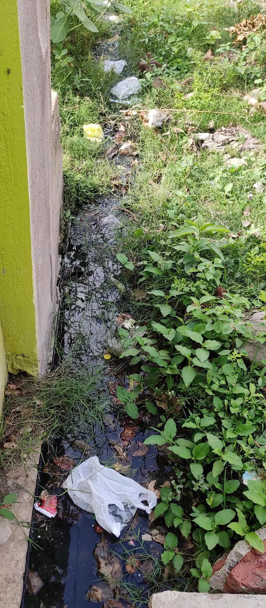 கழிவுநீர் வாய்க்கால் தூர்வாரப்படுமா? கழிவுநீர் வாய்க்கால் தூர்வாரப்படுமா?