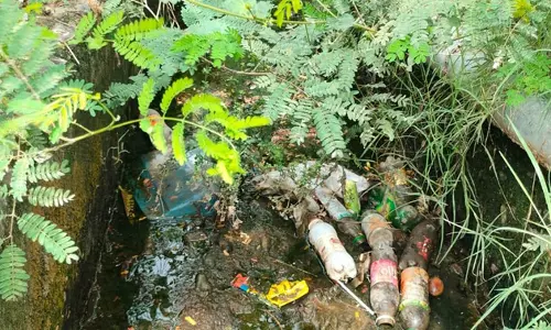 கால்வாயில் தேங்கும் கழிவுநீர் கால்வாயில் தேங்கும் கழிவுநீர்