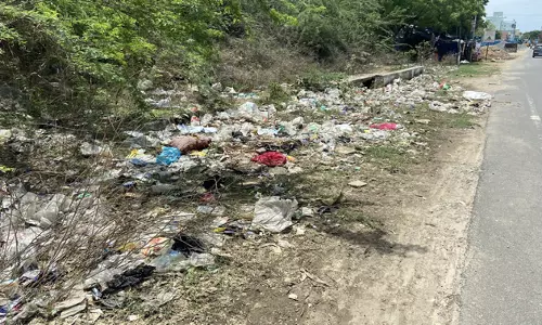சாலையோரம் வீசப்பட்ட குப்பைகள்