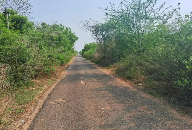 சாலையை அகலப்படுத்த வேண்டும் சாலையை அகலப்படுத்த வேண்டும்