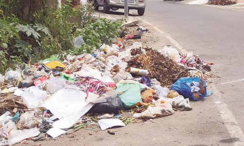 குப்பையால் சுகாதார சீர்கேடு