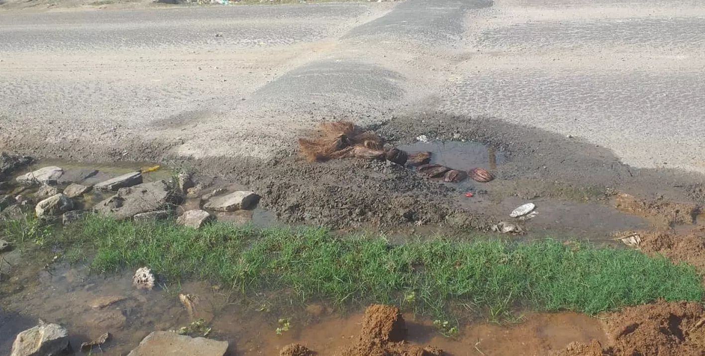 குழாய் உடைப்பால் வீணாகும் குடிநீர் குழாய் உடைப்பால் வீணாகும் குடிநீர்