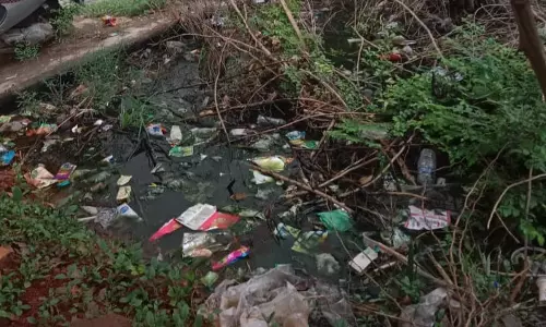 சுகாதார சீர்கேடு