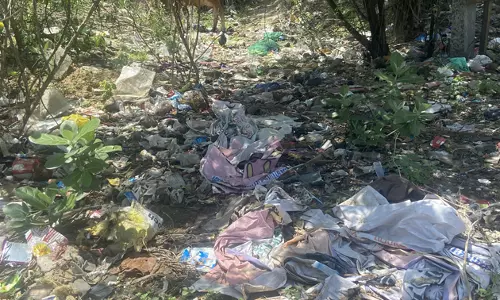 சாலையோரம் வீசப்படும் குப்பைகள்