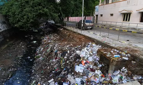குப்பை மேடாக மாறும் கழிவுநீர் கால்வாய் குப்பை மேடாக மாறும் கழிவுநீர் கால்வாய்
