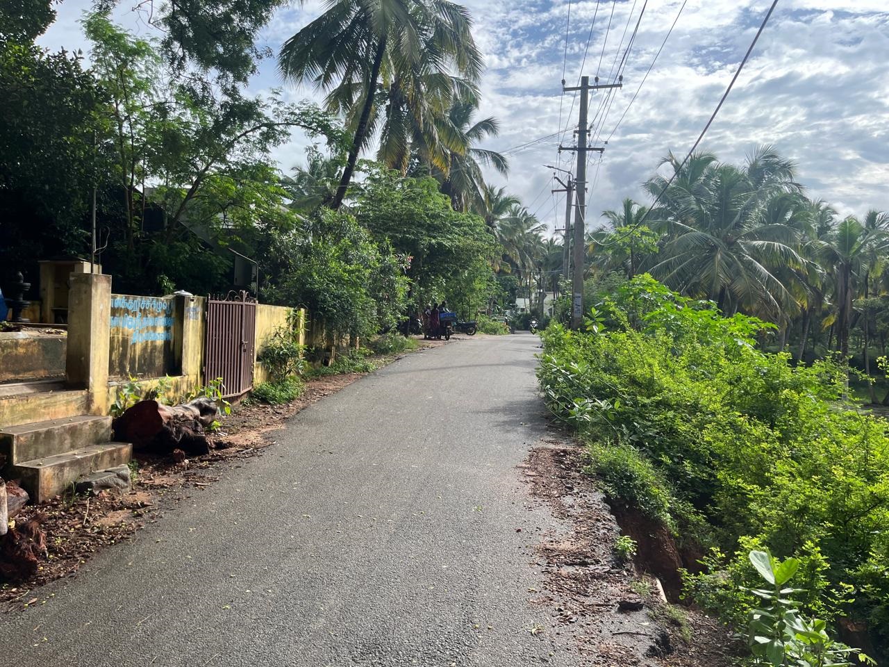 நடவடிக்கை தேவை