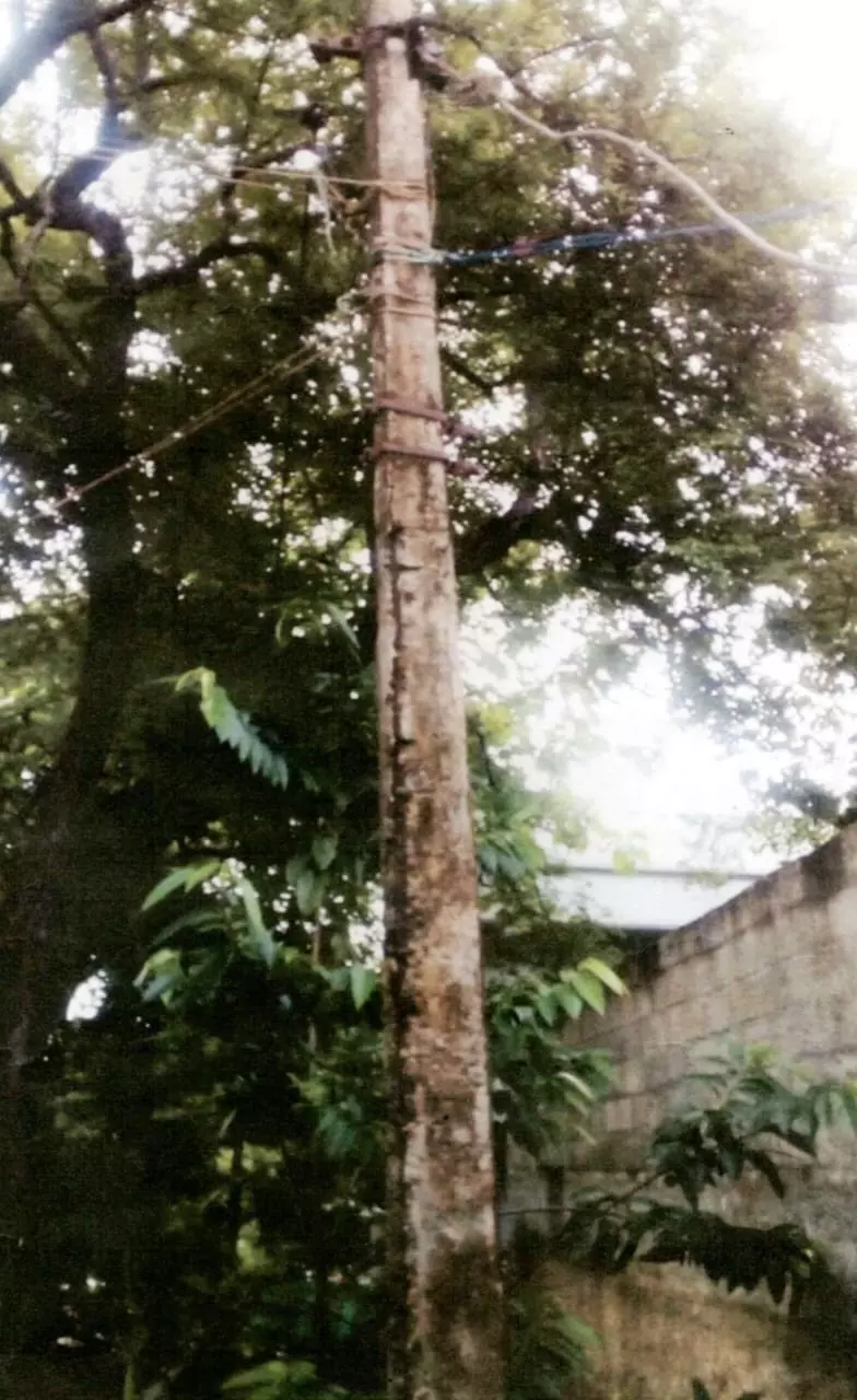 ஆபத்தான மின்கம்பம்