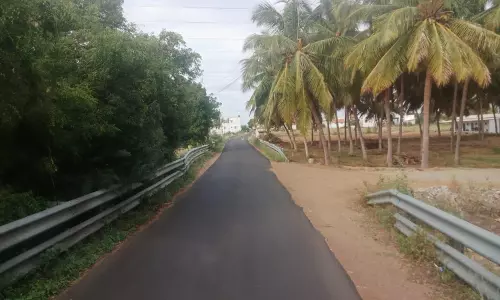 சாலையோர புதர்களால்    வாகன ஓட்டிகள் அவதி