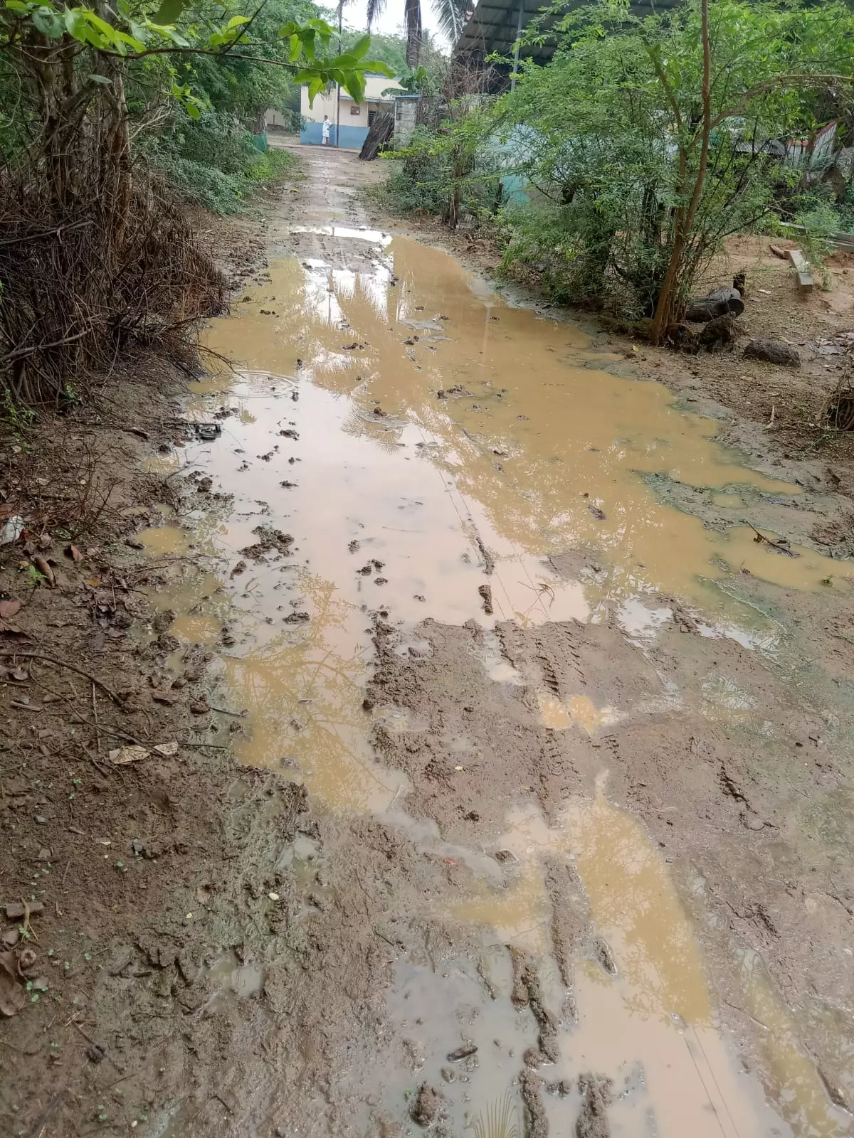 சேறும்,சகதியுமான சாலை