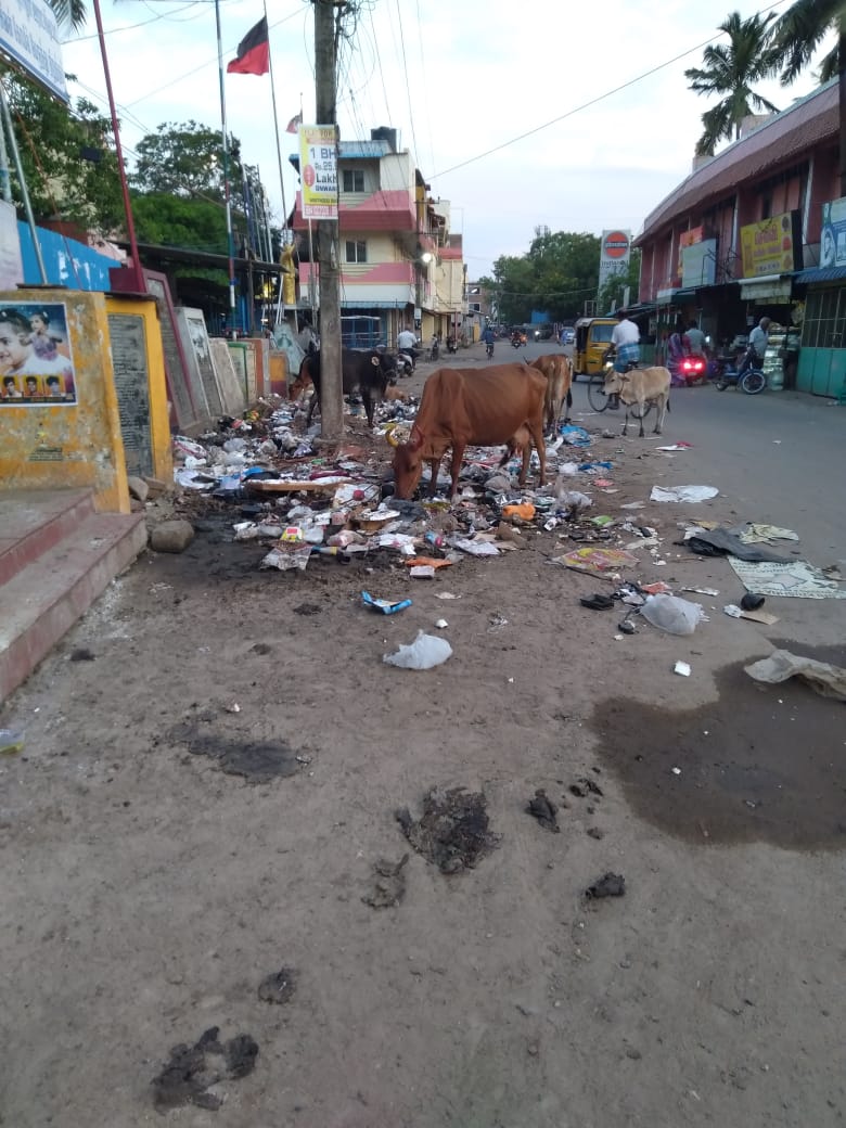 குப்பைகள் அகற்றப்படுமா?