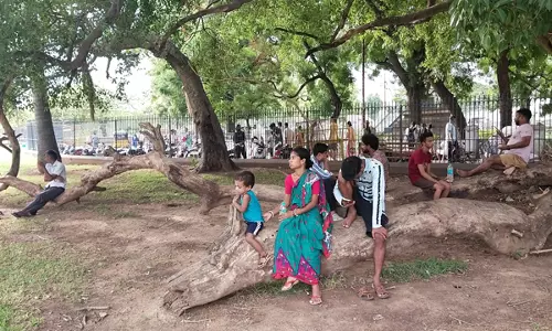 உடைந்த மரம் அகற்றப்படுமா? உடைந்த மரம் அகற்றப்படுமா?