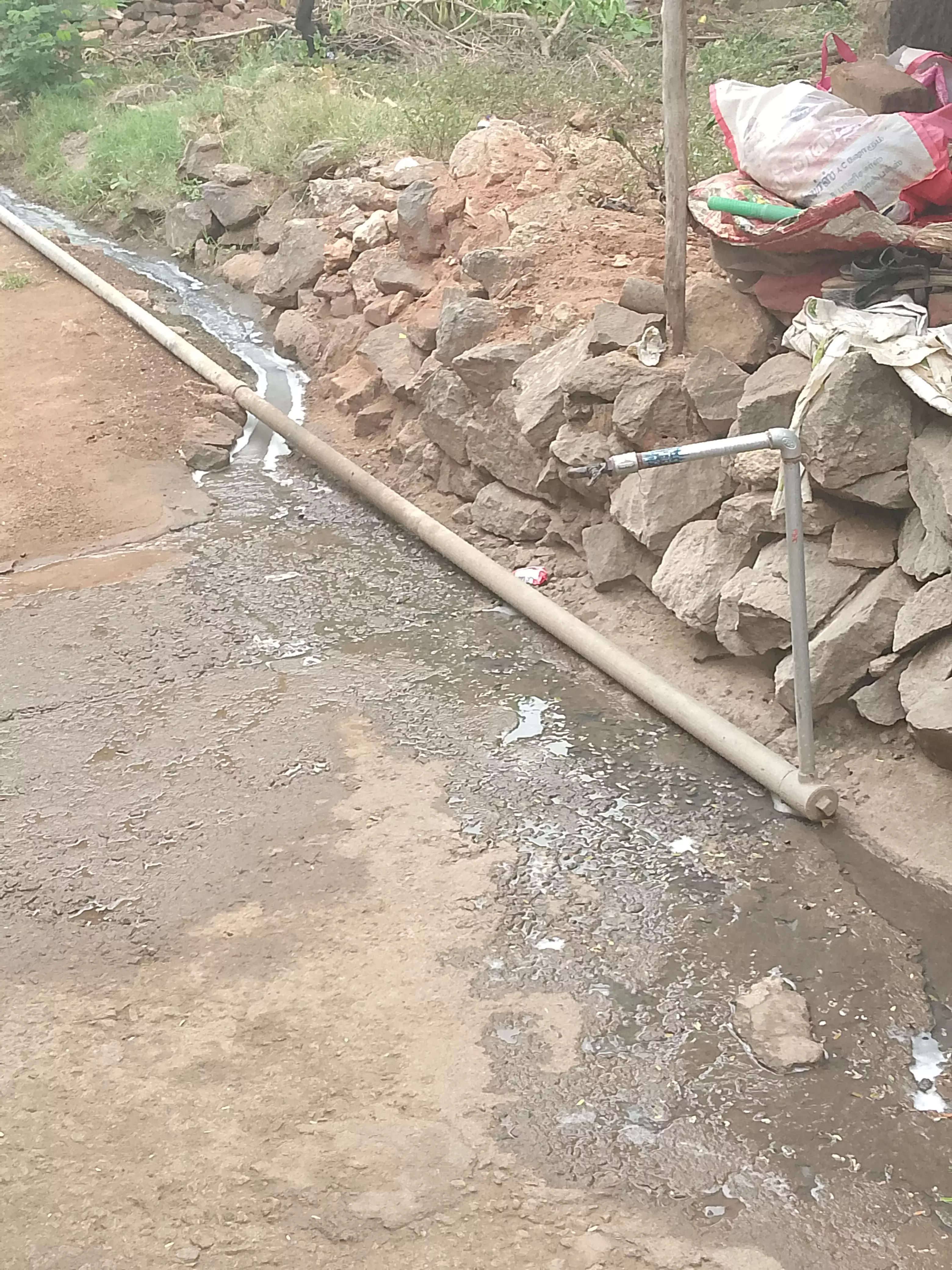 நோய் பரவும் அபாயம்